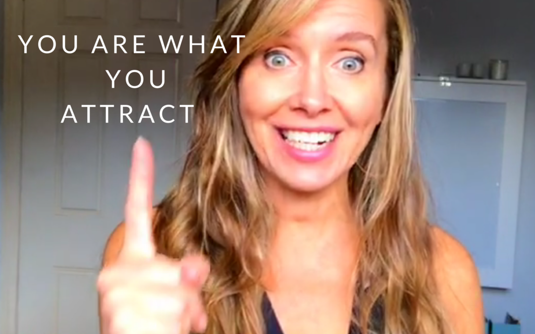 You are what you attract ….